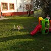Nursery and Kindergarten